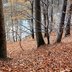 Vorschau: 