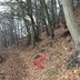 Vorschau: 